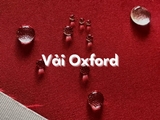 Vải Oxford là gì? Thông tin từ A đến Z về vải Oxford