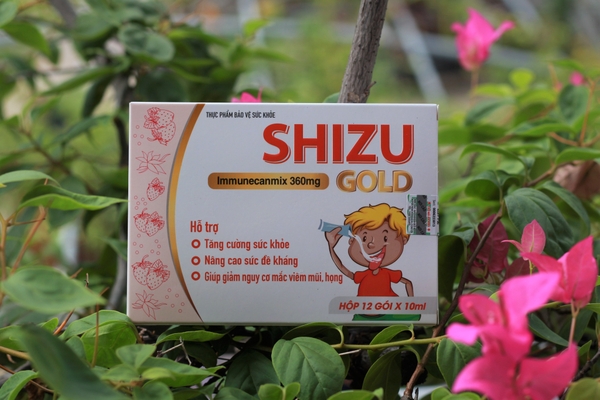 shizu-gold