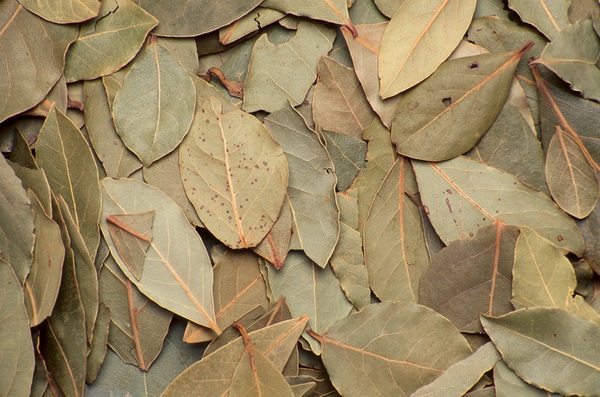 Lá nguyệt quế - bay leaves 10g