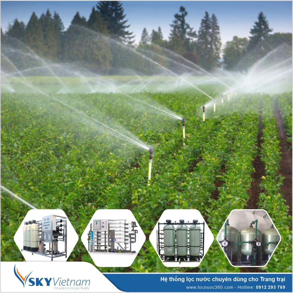 Hệ thống lọc nước tổng 10m3 cho Trang trại Nông nghiệp
