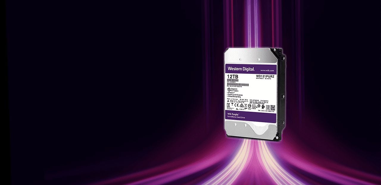 noi dung wd purple 2 - Ngôi Sao Sáng Computer