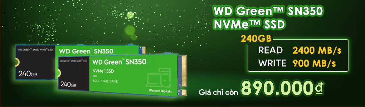WD SN350 240GB