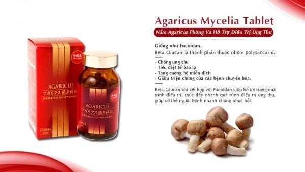 Viên Thể Nấm Agaricus 300 Viên