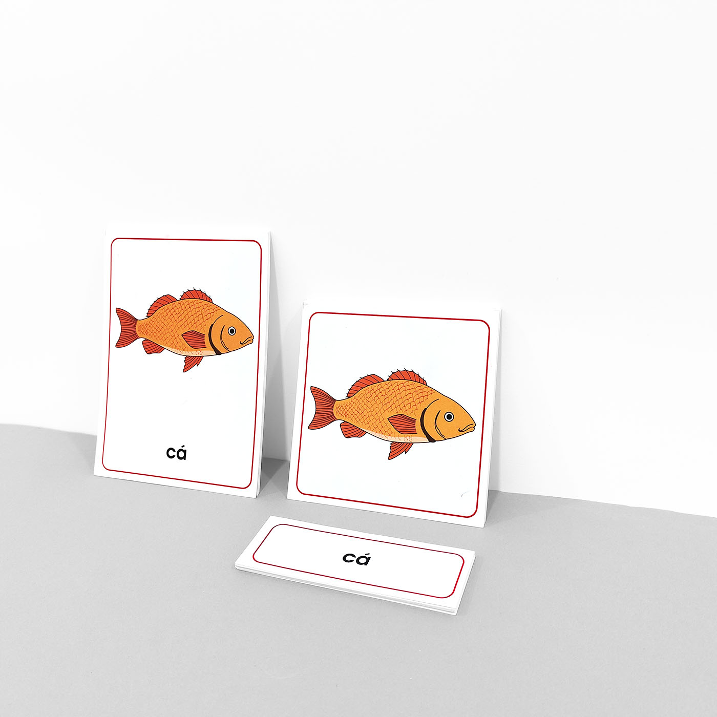 Thẻ 3 phần các bộ phận của cá - Theo tủ động vật có khay
