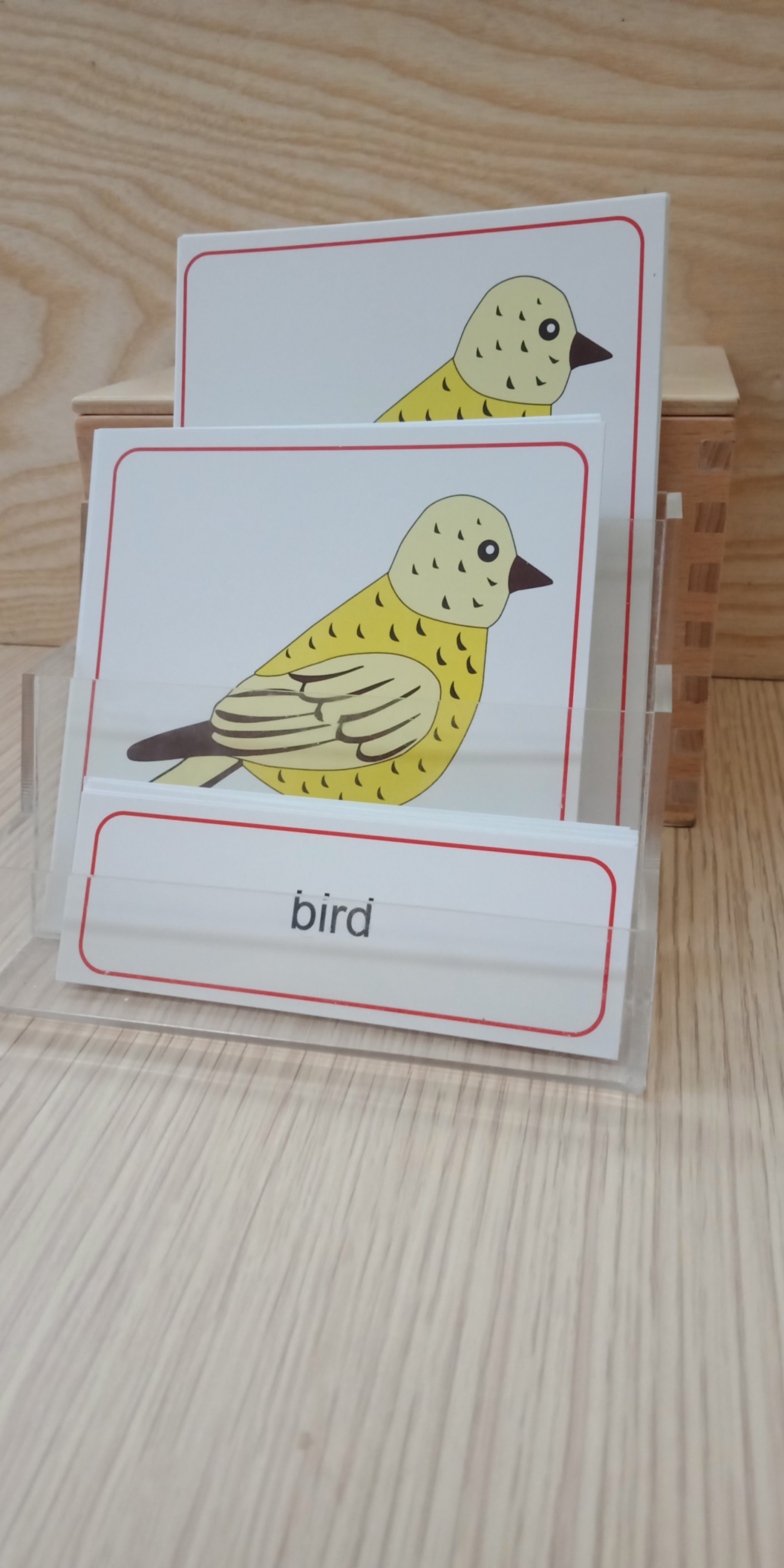 Thẻ 3 phần các bộ phận của chim - Theo tủ động vật không có khay - Tiếng Anh