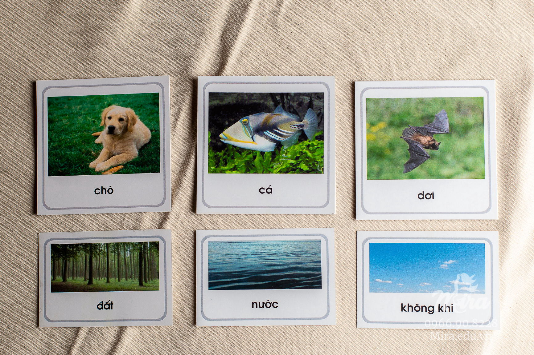 File thiết kế thẻ phân loại động vật theo môi trường sống - Tiếng Việt
