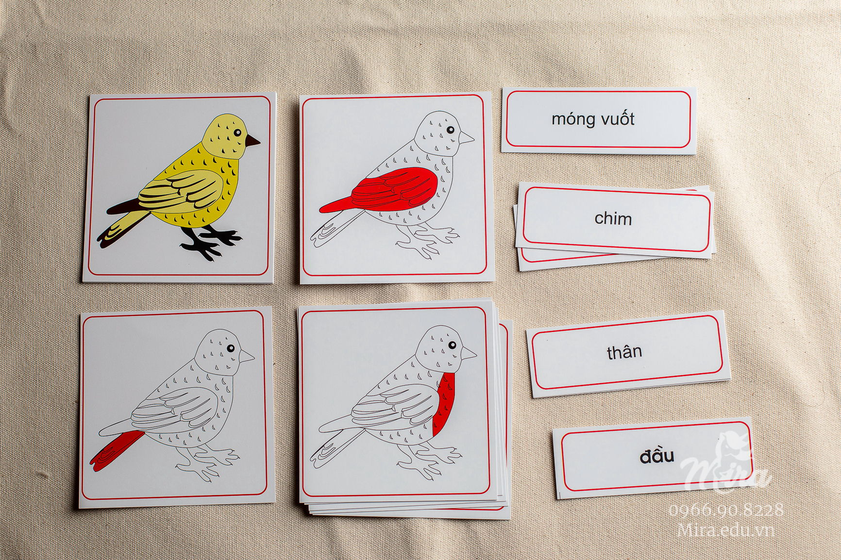 File thiết kế thẻ 3 phần các bộ phận của chim - Theo tủ động vật không có khay - Tiếng Việt