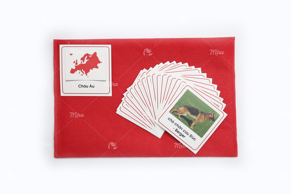 File thiết kế thẻ các con vật Châu Âu - Tiếng Việt