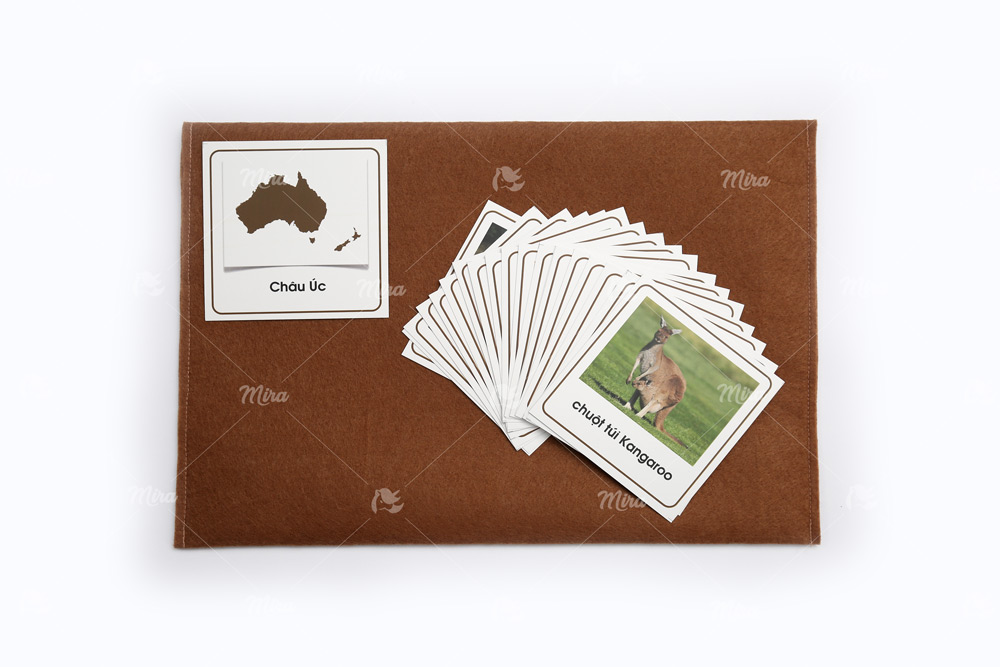 File thiết kế thẻ các con vật Châu Úc - Tiếng Việt