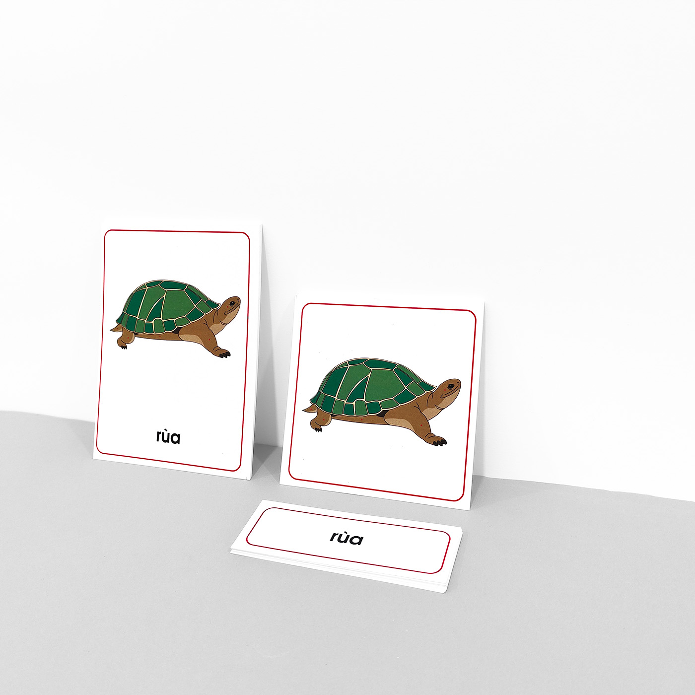 Thẻ 3 phần các bộ phận của rùa - Theo tủ động vật có khay - Tiếng Việt