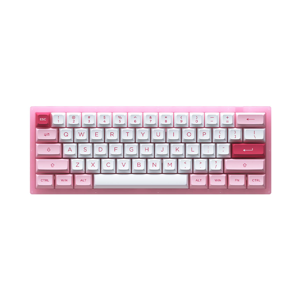 Bàn phím cơ AKKO ACR61 Pink RGB Akko CS Jelly Pink