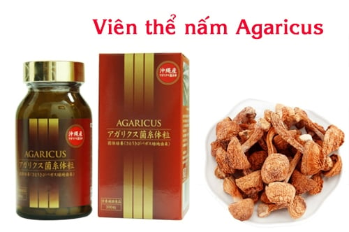 Viên Thể Nấm Agaricus 300 Viên