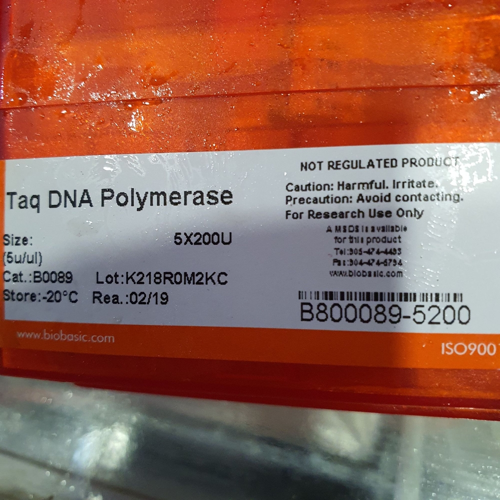 Taq DNA Polymerase 5u/ul, 500U,mã B0089,BioBasic