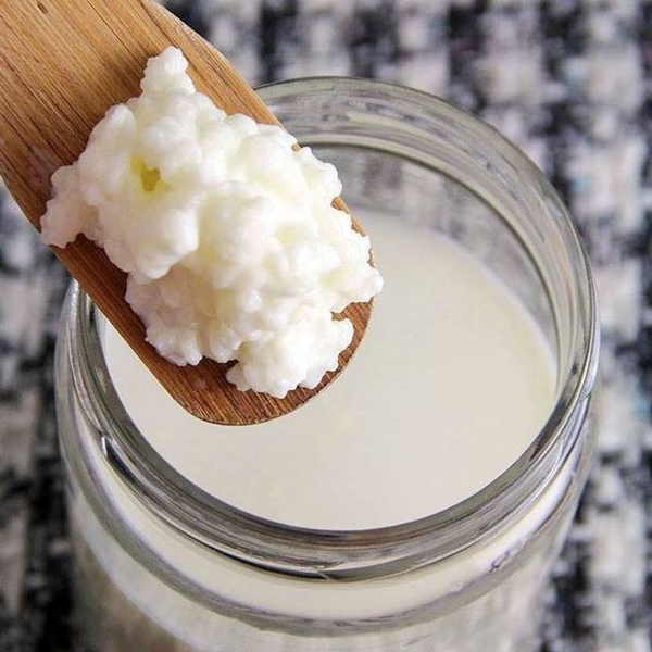 Cách làm nấm sữa kefir cực đơn giản ngay tại nhà