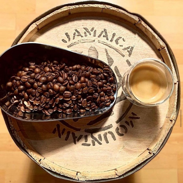 Cà phê jamaica Coffee Jamaica