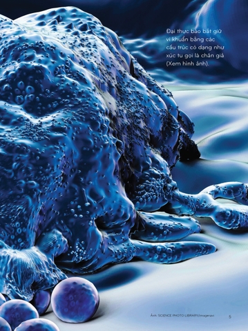 Sách Nhiệm vụ khoa học kỳ bí tập 5 - Đại chiến với Virut (Truyện tranh)