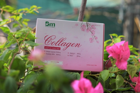 Collagen sáng hồng Bạch Mai chống lão hóa cho làn da