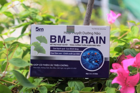 Hoạt huyết dưỡng não BM - Brain hỗ trợ hoạt huyết, an thần