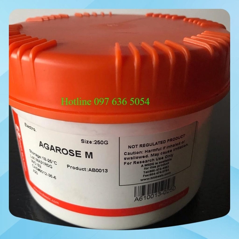 Agarose M, Mã AB0013, Đóng gói: 250g, CAS Number: 9012-36-6, Hãng sản xuất: BioBasic-Canada