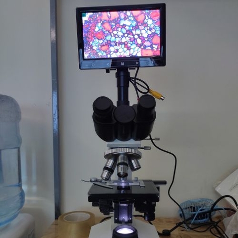 kính hiển vi sinh học 3 mắt LMI-406-LCD