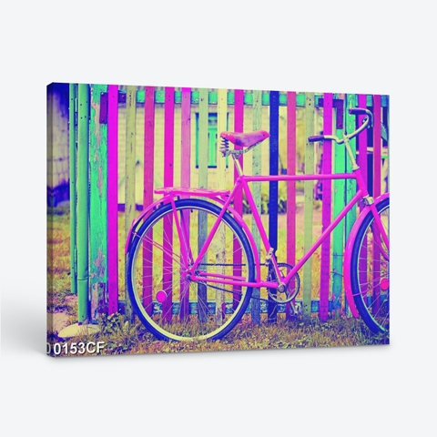 Tranh xe đạp màu hồng bên hàng rào màu 0153CF