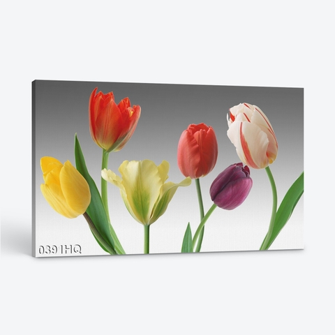 Tranh hoa tulip 0391HQ