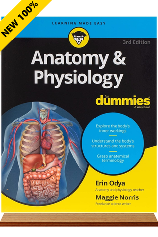 Sách ngoại văn Anatomy & Physiology For Dummies (For Dummies) 3rd Edition