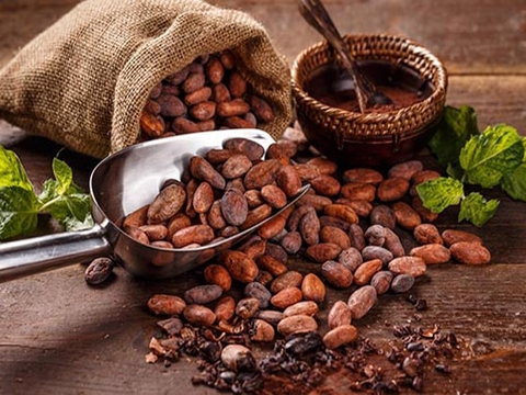 Bột cacao dùng để làm gì? Cách sử dụng bột cacao an toàn và thông dụng.