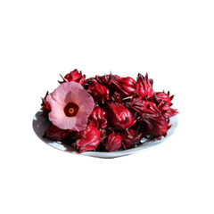 Hoa hibiscus (Atiso đỏ) tươi 1kg