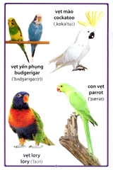 Cuốn Sách Lớn Đầu Tiên Của Tôi Về Chim Chóc