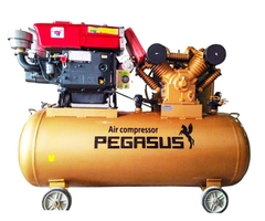 Máy nén khí đầu nổ Pegasus 10HP D8 500L 8 Bar