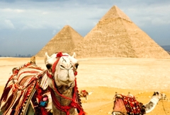 Du lịch hành hương: Jordan - Israel - Ai Cập - một hành trình 3 điểm đến (12 ngày 11 đêm) bay Qatar Airways