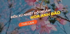 Tour Chiang Mai - Chiang Rai Thái Lan (5 Ngày 4 Đêm) - Ngắm Hoa Anh Đào 2023