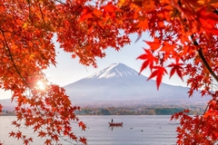 Du lịch Nhật Bản mùa lá đỏ 2022 (4 ngày 3 đêm) Bay Vietjet Air