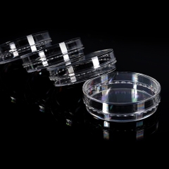 Đĩa nuôi cấy tế bào (Cell Culture Dishes), 10 cái/túi, Hãng Biologix-USA
