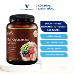 MEAL REPLACEMENT PLANT PROTEIN