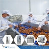 Máy lọc nước Nóng-Lạnh cho Nhà máy Chế biến KN-N501
