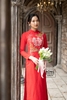 Áo dài cô dâu gấm đỏ hoàng gia kết đôi phượng ADD253